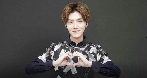 天涯论坛爆料娱乐圈鹿晗,揭秘明星背后的真实故事  第2张