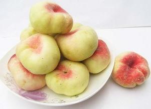 新疆蟠桃爆料事件视频,真相与争议交织