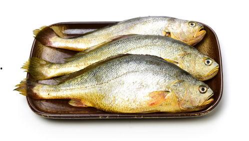 小黄鱼爆料新闻视频播放,揭秘新闻视频背后的真相 第2张 小黄鱼爆料新闻视频播放,揭秘新闻视频背后的真相 第2张