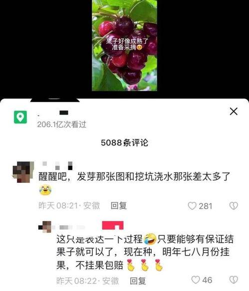 视频结尾爆料怎么弄出来,幕后操作解析与技巧分享 第3张 视频结尾爆料怎么弄出来,幕后操作解析与技巧分享 第3张