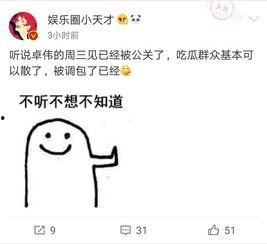 去年卓伟爆料视频大全最新,揭秘娱乐圈风云变幻  第2张