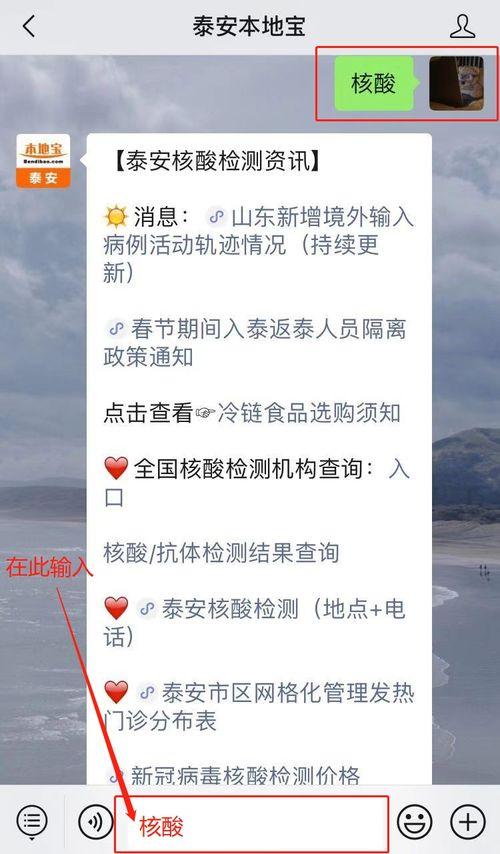 泰安核酸爆料事件最新,真相与争议交织的核酸检测风波  第3张