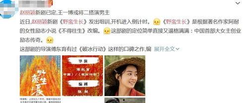 野蛮生长最新爆料,揭秘行业巨头背后的秘密与挑战  第3张