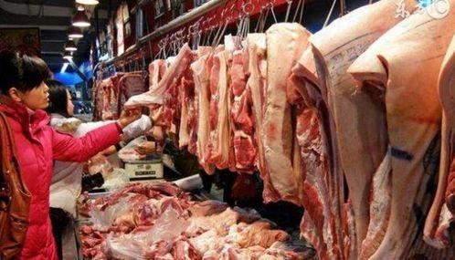 猪肉爆料视频大全最新版,揭秘行业黑幕，食品安全再引关注  第2张