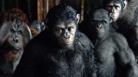 猿球崛起2在线观看,新纪元——智猿争霸，未来世界风云再起  第2张