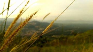 风景视频爆料大全最新网站,尽享视觉盛宴