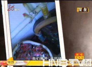 东北网哈尔滨爆料新闻,聚焦城市热点事件，揭秘幕后真相  第3张