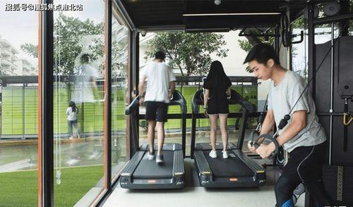 开封小学生最新爆料电话,揭秘校园电话背后的秘密  第3张